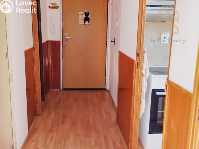 Pronájem bytu 2+1 Roudnice nad Labem, Bořivojova 1769 č. 6