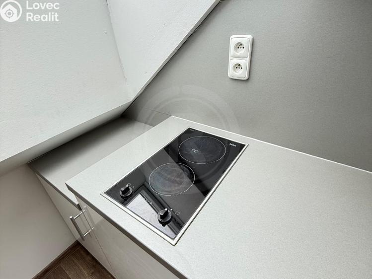 Pronájem bytu 1+KK České Budějovice, Třebotovice 2444 č. 3