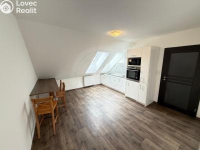 Rent apartment 1+KK České Budějovice, Třebotovice 2444 č. 1