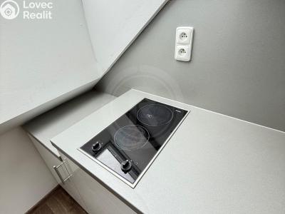 Rent apartment 1+KK České Budějovice, Třebotovice 2444 č. 3