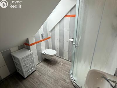 Rent apartment 1+KK České Budějovice, Třebotovice 2444 č. 6