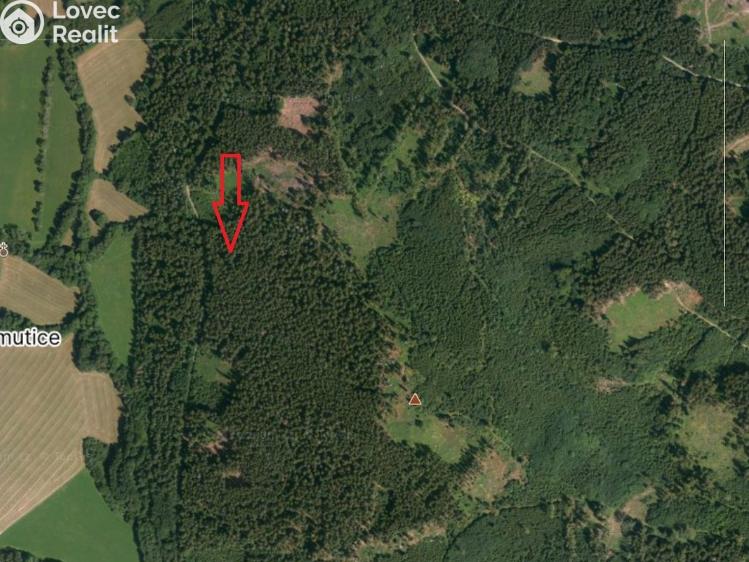 Prodej lesa Petrovice u Sušice č. 1