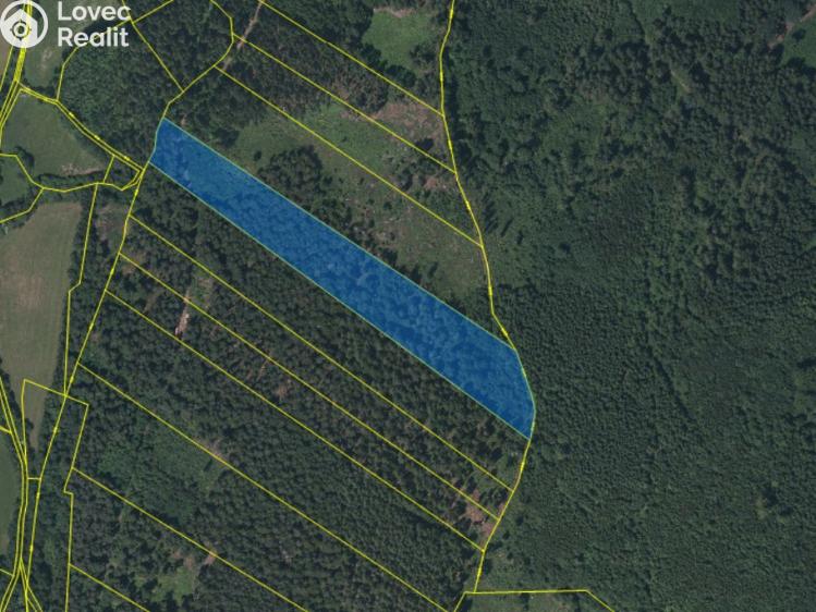 Prodej lesa Petrovice u Sušice č. 3