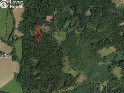 Prodej lesa Petrovice u Sušice č. 1