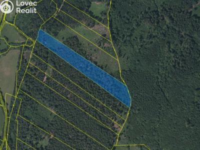 Prodej lesa Petrovice u Sušice č. 3