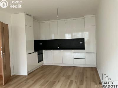 Rent apartment 2+KK Praha, Hodkovická č. 1