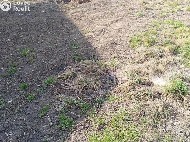 Продажа семейного дома Prostějov, Za Olomouckou 5051 č. 11