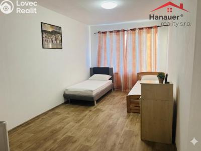 Pronájem bytu 2+1 Duchcov, Jungmannova č. 3