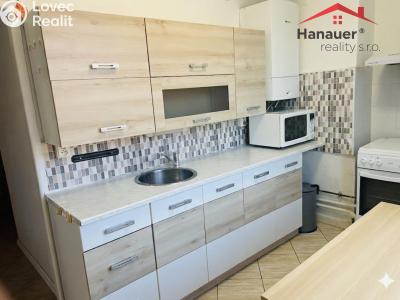 Pronájem bytu 2+1 Duchcov, Jungmannova č. 6