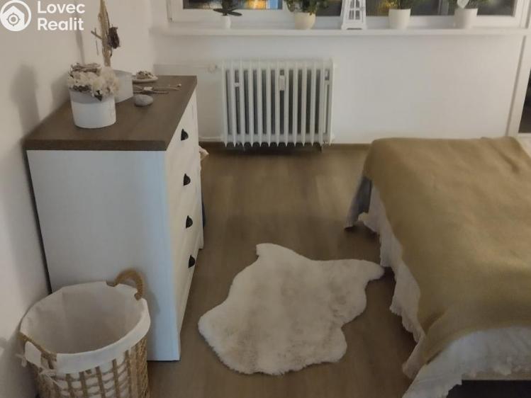 Pronájem bytu 2+1 Chomutov, Stavbařská č. 6