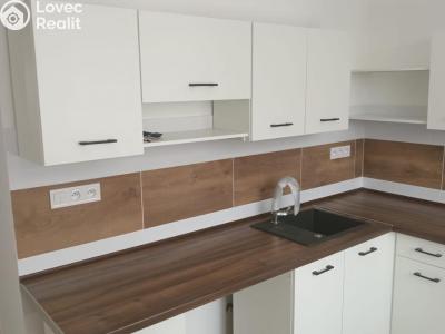 Pronájem bytu 2+1 Chomutov, Stavbařská č. 1