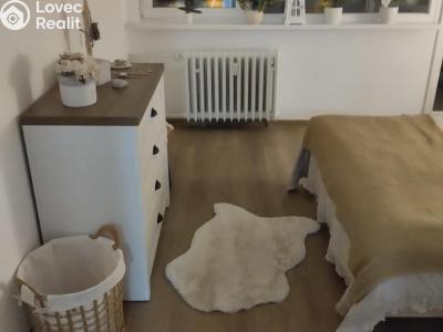Pronájem bytu 2+1 Chomutov, Stavbařská č. 6