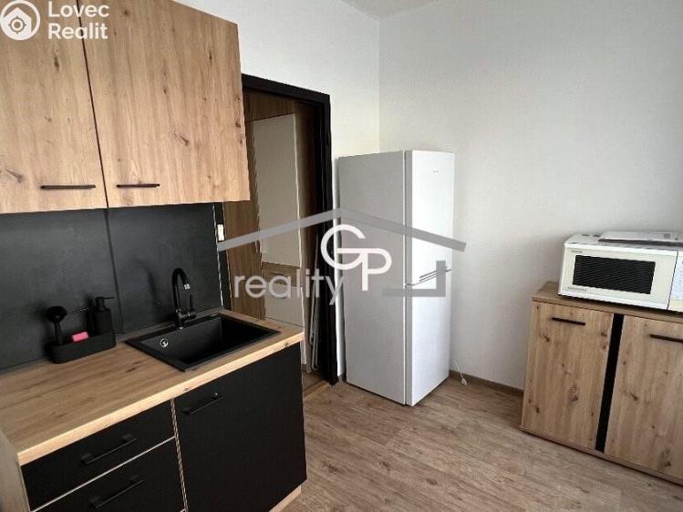 Pronájem bytu 1+1 České Budějovice, Prachatická č. 2