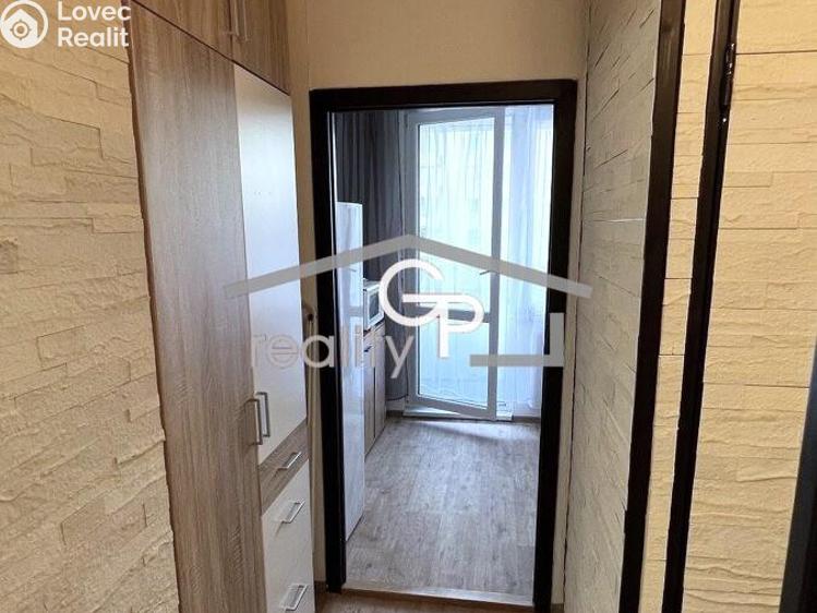 Pronájem bytu 1+1 České Budějovice, Prachatická č. 8