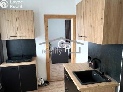 Pronájem bytu 1+1 České Budějovice, Prachatická č. 1