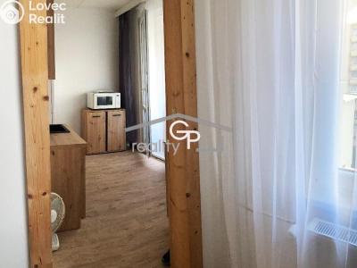 Pronájem bytu 1+1 České Budějovice, Prachatická č. 3