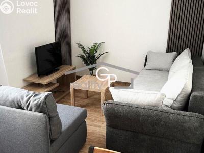 Pronájem bytu 1+1 České Budějovice, Prachatická č. 4