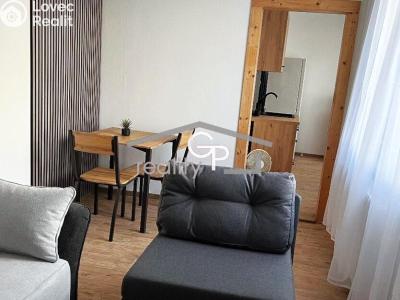 Pronájem bytu 1+1 České Budějovice, Prachatická č. 5