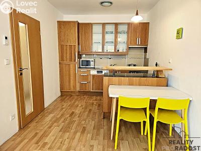 Pronájem bytu 2+KK Brno, Haškova č. 1