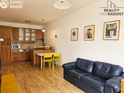 Pronájem bytu 2+KK Brno, Haškova č. 5