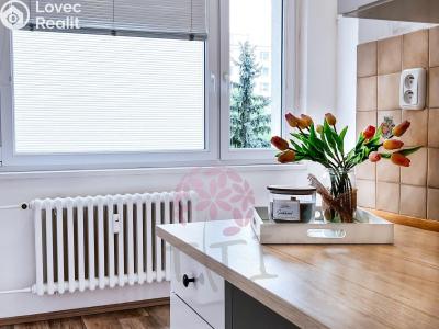 Rent apartment 3+1 Praha, Chlebovická 494 č. 2