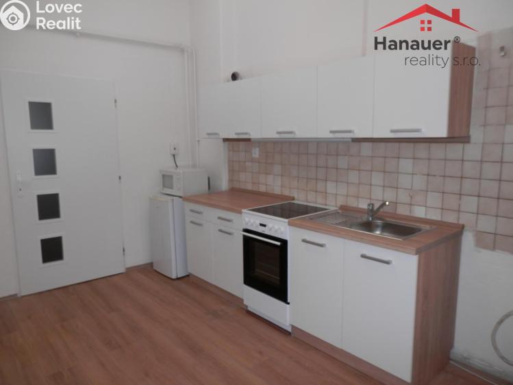 Pronájem bytu 2+1 Ústí nad Labem, Zeyerova č. 6