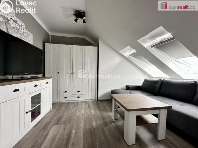 Pronájem bytu 2+1 Ostrov, Kollárova č. 3