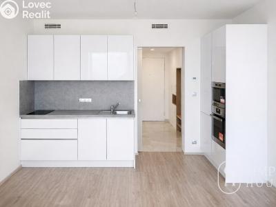 Rent apartment 1+KK Praha, Kurta Konráda č. 2
