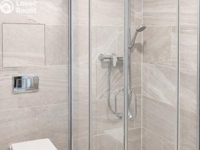 Rent apartment 1+KK Praha, Kurta Konráda č. 6