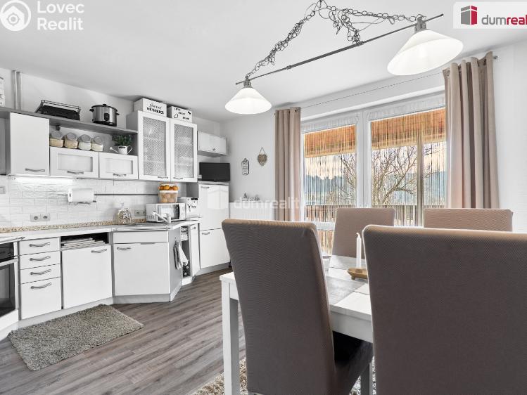 Prodej rodinného domu Ostrov, Krušnohorská č. 9