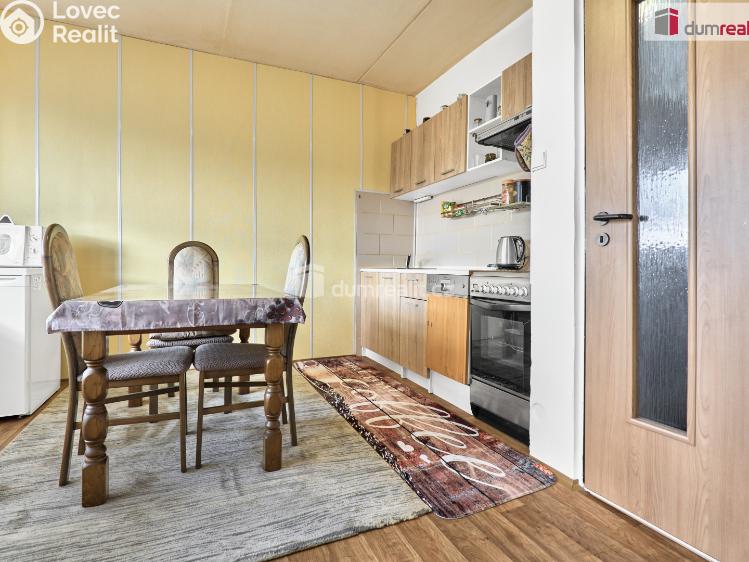 Prodej rodinného domu Ostrov, Krušnohorská č. 11