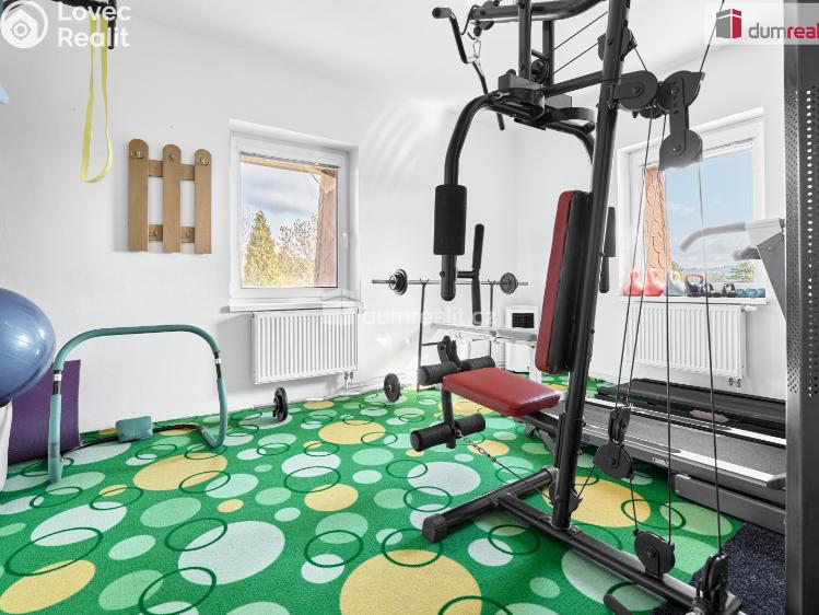 Prodej rodinného domu Ostrov, Krušnohorská č. 26