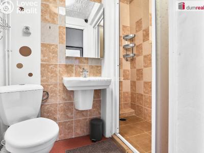 Продажа семейного дома Ostrov, Krušnohorská č. 13