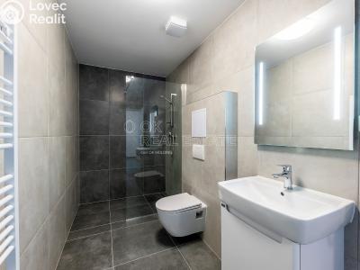 Аренда квартиры 2+KK Plzeň, Františka Kováříka č. 3