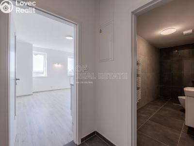 Аренда квартиры 2+KK Plzeň, Františka Kováříka č. 4