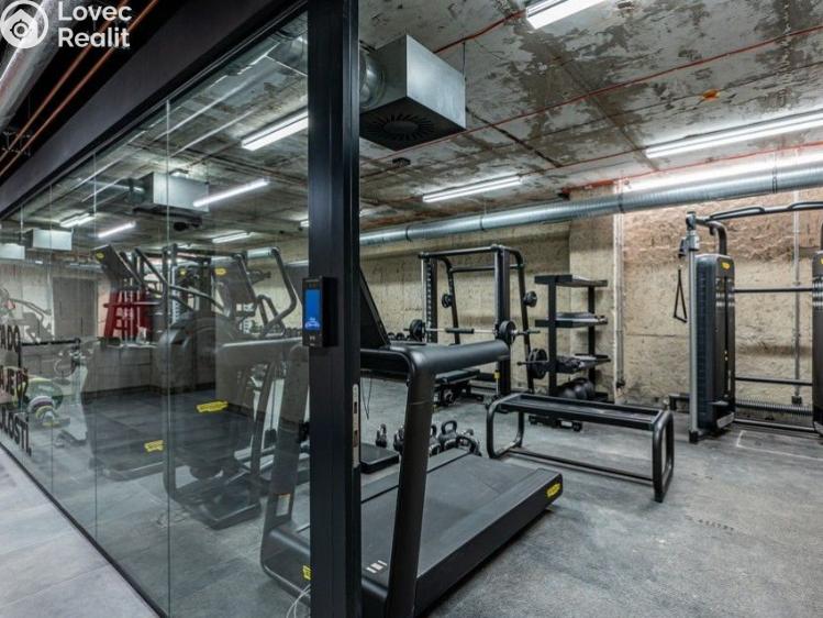 Sale apartment 1+KK Praha, Československého exilu č. 19