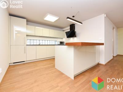 Prodej bytu 3+KK Beroun, Nad Paloučkem 1993 č. 4