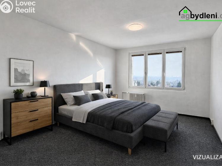 Pronájem bytu 2+1 Plzeň, Elišky Krásnohorské č. 3