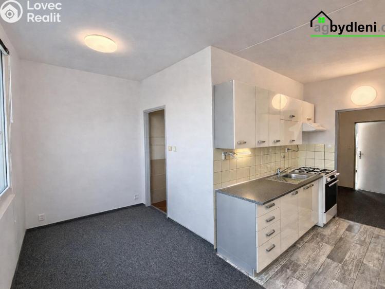 Pronájem bytu 2+1 Plzeň, Elišky Krásnohorské č. 5