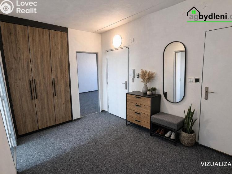 Pronájem bytu 2+1 Plzeň, Elišky Krásnohorské č. 7