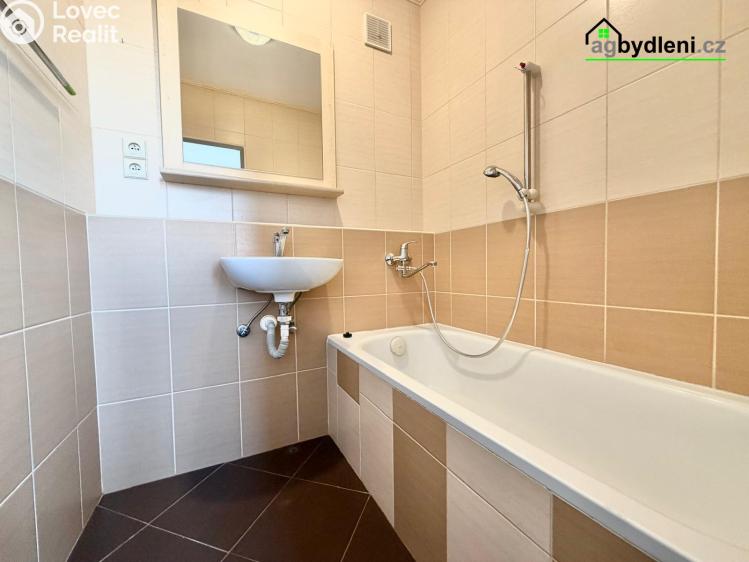 Pronájem bytu 2+1 Plzeň, Elišky Krásnohorské č. 9