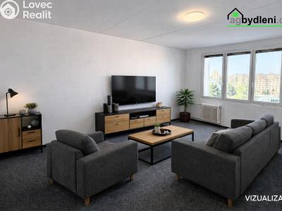 Pronájem bytu 2+1 Plzeň, Elišky Krásnohorské č. 1