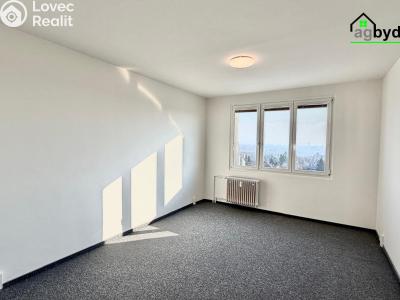 Pronájem bytu 2+1 Plzeň, Elišky Krásnohorské č. 2