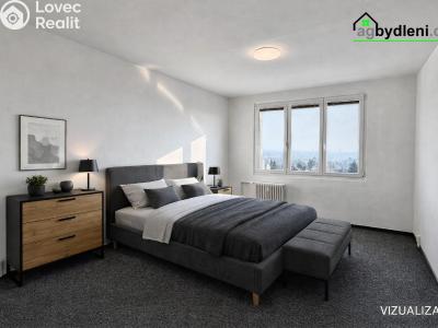 Pronájem bytu 2+1 Plzeň, Elišky Krásnohorské č. 3