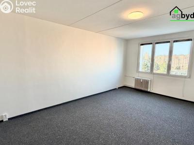 Pronájem bytu 2+1 Plzeň, Elišky Krásnohorské č. 4