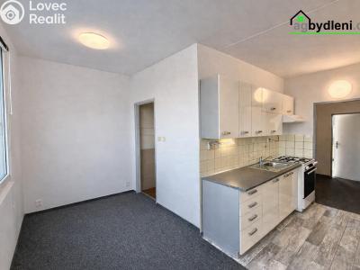 Pronájem bytu 2+1 Plzeň, Elišky Krásnohorské č. 5