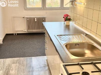 Pronájem bytu 2+1 Plzeň, Elišky Krásnohorské č. 6