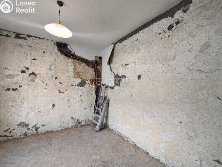 Продаж сімейного будинку Karlovy Vary, Otovická č. 19