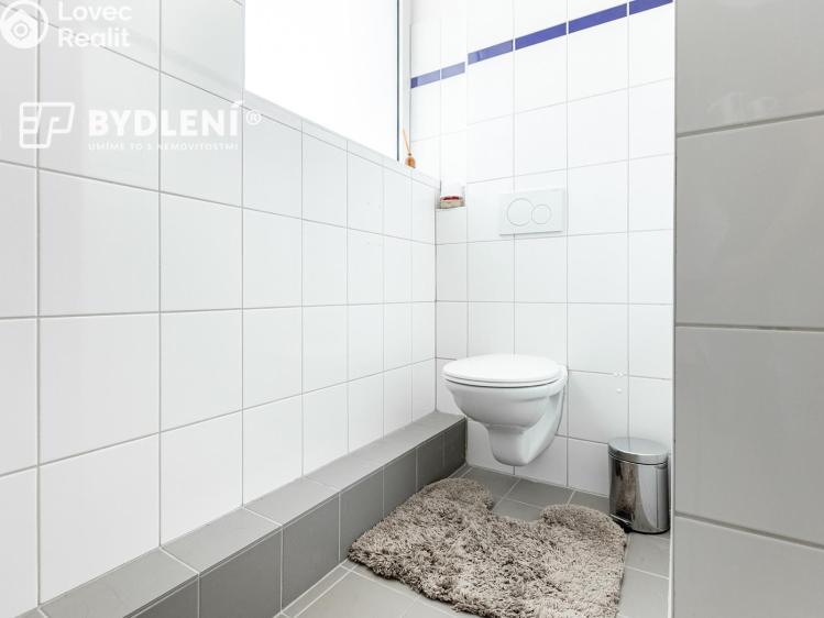 Pronájem bytu 1+KK Praha, Děčínská č. 12