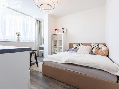 Pronájem bytu 1+KK Praha, Děčínská č. 1